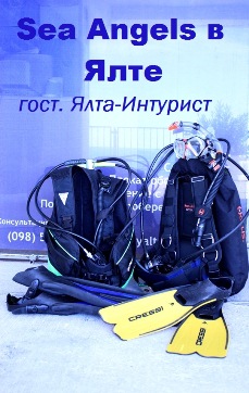 баннер 229Х362